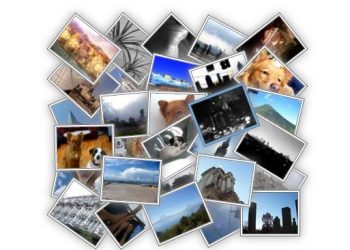 gallery gallery